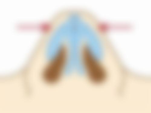 深圳八大处医疗美容医院详细的预约挂号方式及流程