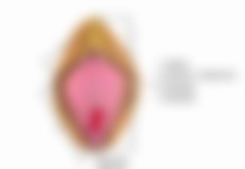 溶脂瘦脸针与其他瘦脸方式大比拼