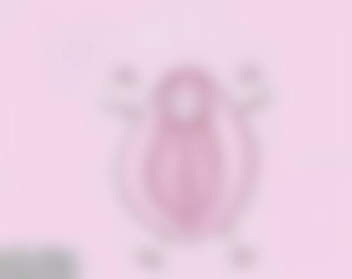 医生选择：保护手术成功的基础