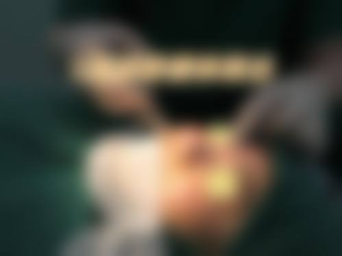 李东翰医生擅长项目