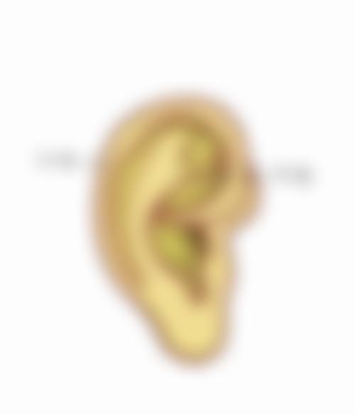 医院与医生选择：保护修复成效