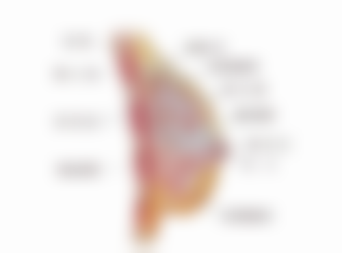 疤痕增生如何改善？别信偏方，遵医嘱选硅酮制剂、注射或激光治疗