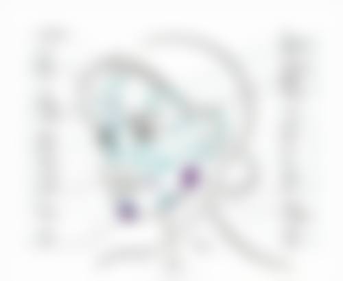 三点定位双眼皮:兼顾自然与持久的折中之选