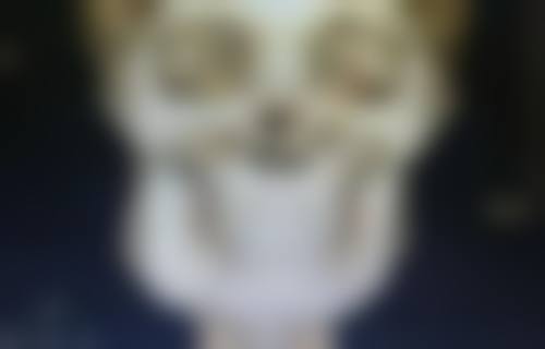 特色疗法:北京疤康非手术联合疗法