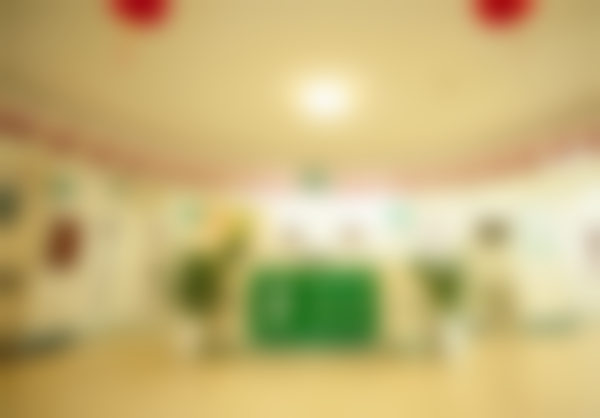 蔡碧玉医生擅长项目