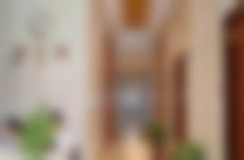 雷清洋医生擅长项目