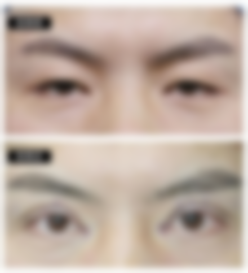 丰富多样的项目