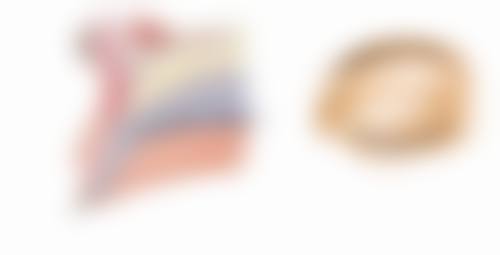 李鸿鹏医生预约挂号