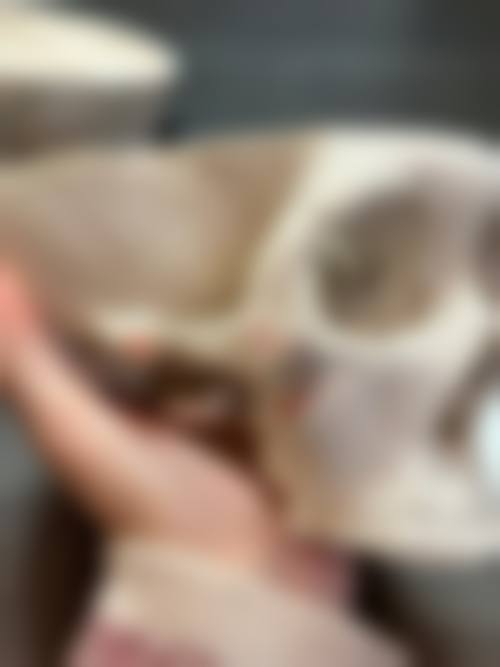 韩国DK医院地址电话营业时间