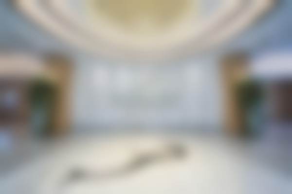 柏睿医生技术优势