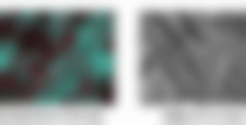 修复价格差异大，影响因素有哪些