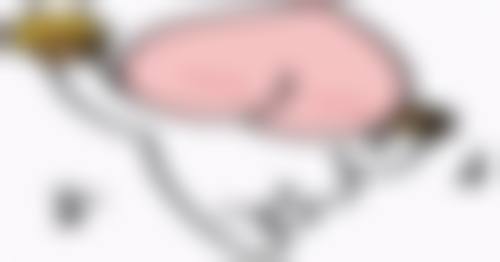 修复实例见证，成功就在眼前