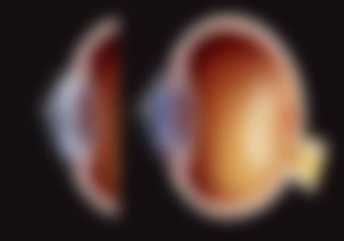 贺州市人民医院地址电话营业时间