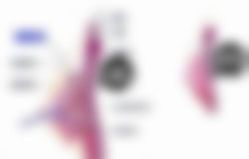 透明合理的收费