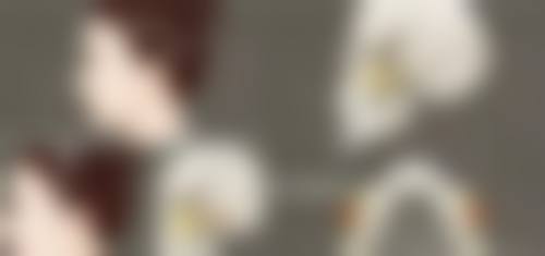 专精医院助力：手术去眼袋的靠谱选择