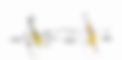 实力见证：[医院具体名称]抽脂手术的安心保护