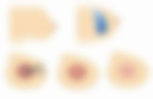 乳房的生理结构与哺乳的关系