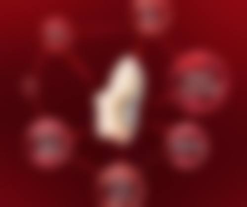 [XX 整形医院]的预约挂号方式