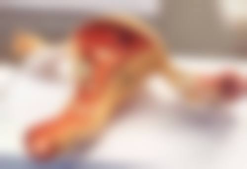 眼角膜有疤痕能修复吗？能！同仁医院多种疗法可选，曾有患者术后视力从手动提升到 0.5！ 