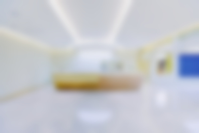 三、北京米兰柏羽丽都医疗美容擅长项目