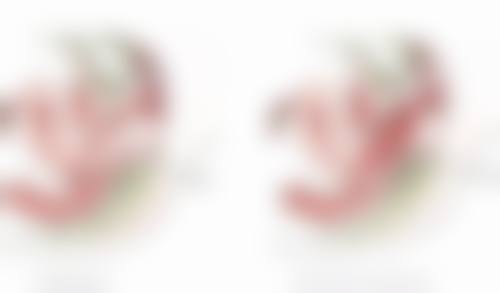 完全修复后：1个月以上，可正常但仍需适度