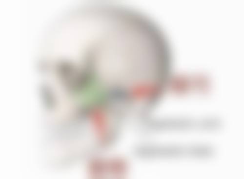 交通与预约方式