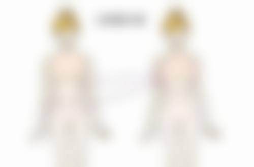 预约流程与注意事项