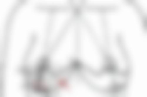 两者适用部位不同