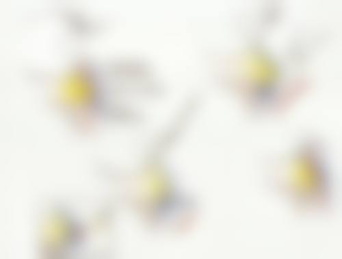 南宁拉斐尔医疗美容外科诊所医院特色技术及优质服务