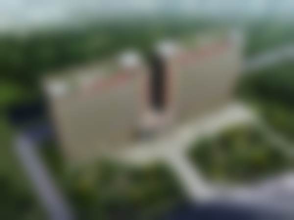 赵延峰技术优势