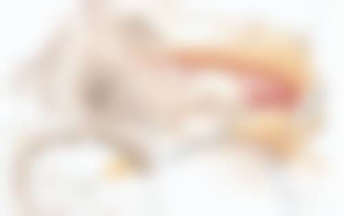 手术治疗：切除重塑，应对重度疤痕