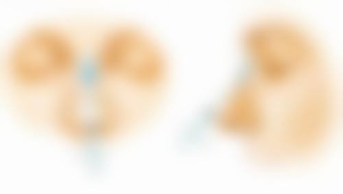 术后注意事项:促进修复与预防不对称