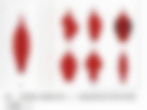 渠强医生执医荣誉