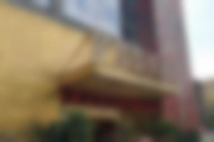 合美红医生价格表