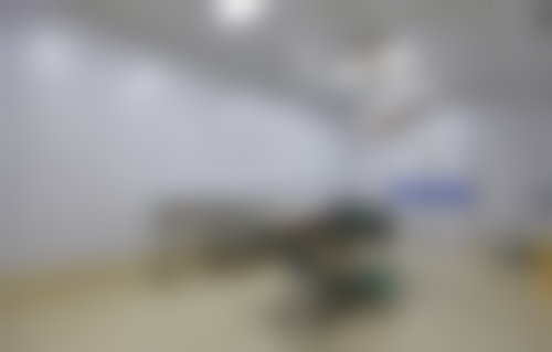 曹阳丽格医疗美容门诊部特色项目列表