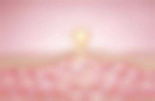 金眼霜对不同类型眼袋的成效差异