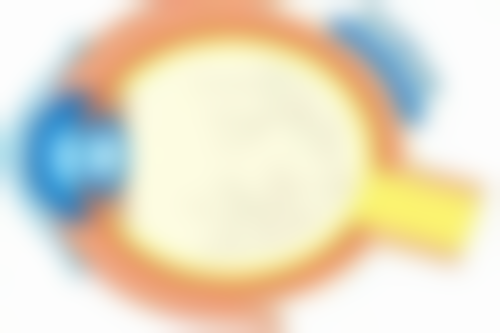 美莱医生团队实力