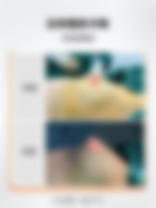 渼淳玉颜特色项目