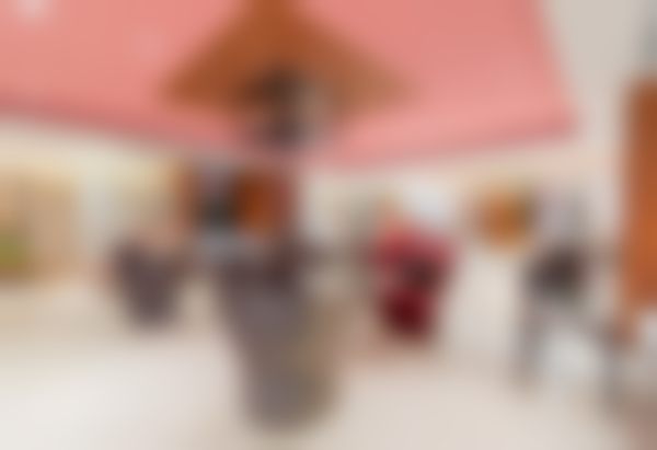 医院技术优势亮点