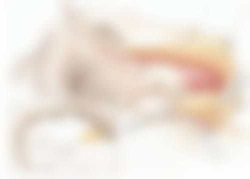 北京嘉和医疗美容门诊部介绍：拥有专业医生郭栋，诊疗服务优势显著，口碑良好！ 