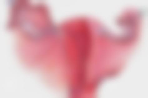 华韩奇致：中韩技术融合，精细塑美典范