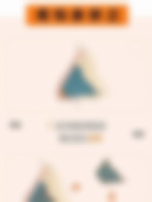 九、总结与建议