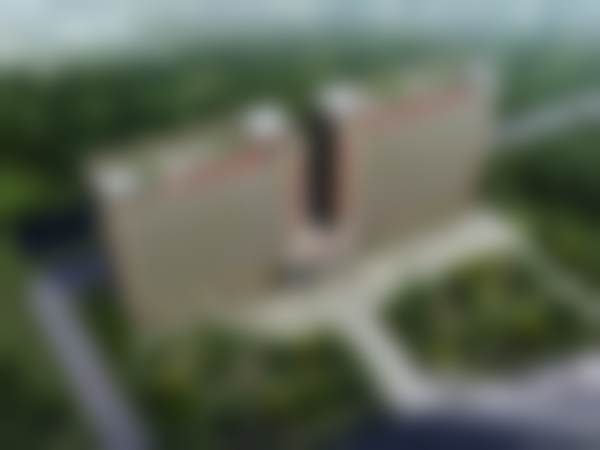 三、曾茂医生的抗衰方案优势