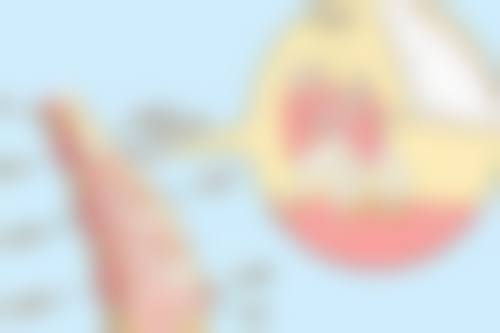 未来展望：持续创造美丽