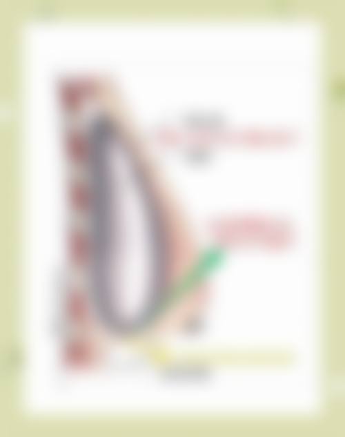 二、成都美莱的专精医生团队