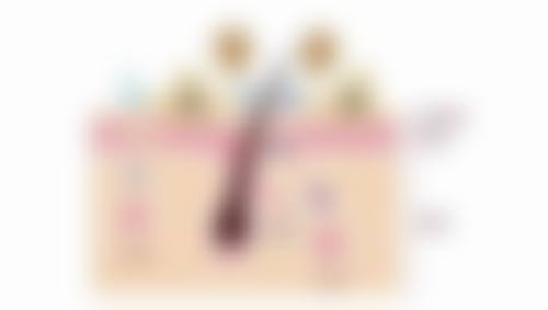医美去三甲还是去整形医院？综合实力与专业服务，该如何抉择？ 