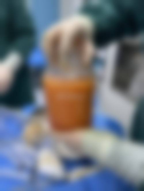 蒋主事预约挂号攻略