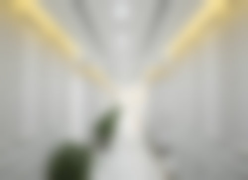 执业轨迹