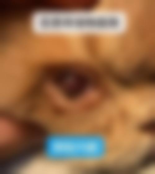 结尾预约号召