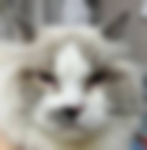 烟台华厦眼科门诊营业时间。